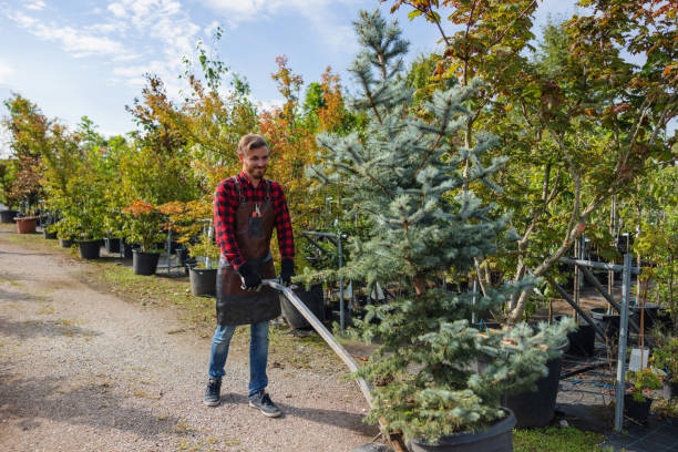 Best Tree Preservation Services  in , WY